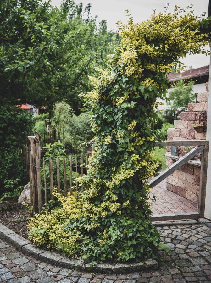 Ferienwohnung Traudl インツェル エクステリア 写真